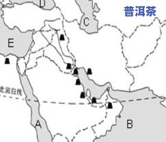 澜沧江普洱茶的特点及分布示意图：揭示原生态普洱茶的魅力