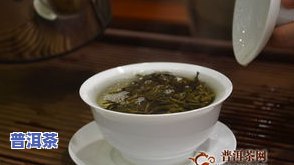 景遇普洱茶-景遇普洱茶价格