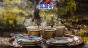 九岁小孩能喝普洱茶吗？专家解析其适宜性和留意事项