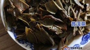 普洱茶6月份新闻汇总-2020年普洱茶新闻