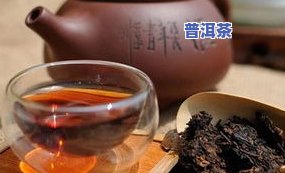 普洱茶新品种：种类、名称及图片全览