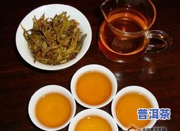 新型普洱茶-新型普洱茶发酵工艺茶多酚