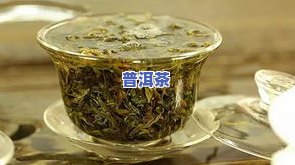 新型普洱茶-新型普洱茶发酵工艺茶多酚