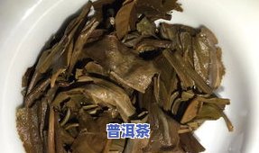 普洱茶茶底是什么？颜色、材质全解！