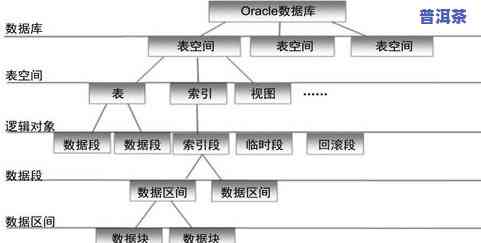 普洱茶新工艺：从定义、区别到后期转化全面解析