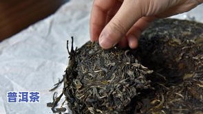 普洱茶饼：压松还是紧松？影响口感的关键因素