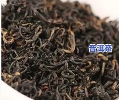 广西老树普洱茶批发价多少钱一斤？了解广西老树茶及普洱茶叶场，探索广西普洱茶十大名牌！