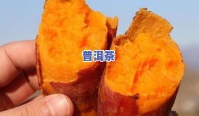 茶叶拔丝：传统美食的独特魅力与制作技巧