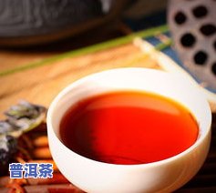 老树普洱熟茶的更佳冲泡方法与功效