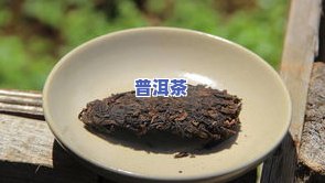 普洱茶小饼泡法视频教程：详细讲解步骤与技巧