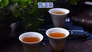 什么时候有普洱茶的历史、味道和产地？