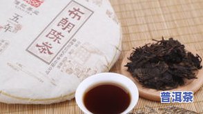 什么时候有普洱茶的历史、味道和产地？