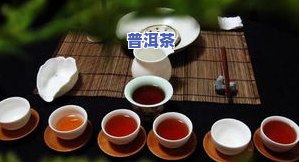 普洱茶雪芽是什么意思？详解其特点与价格