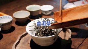 普洱茶老师讲解：什么是普洱茶老班章？它的价格如何？