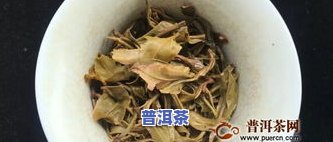 冰岛普洱茶的产地：它属于哪里？