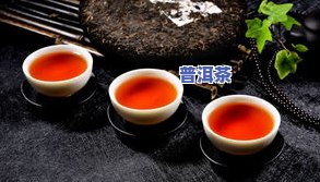 陈皮普洱茶价格比较：润元昌、宜正生、福柑源等一盒价一览