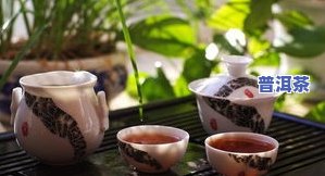 普洱茶武夷：岩茶与碧螺春的比较