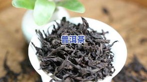 普洱茶武夷：岩茶与碧螺春的比较