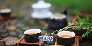 熟普洱茶寒性还是温性？全面解析其性质与适宜人群