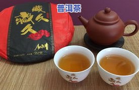 灵龟系列普洱茶口感如何？详解灵龟系列普洱茶的特点与鉴赏方法