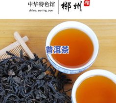 普洱茶最全知识介绍：从起源到泡法，一文熟悉普洱茶