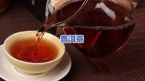 讲一下普洱茶的知识：从产地、种类到冲泡方法全解析