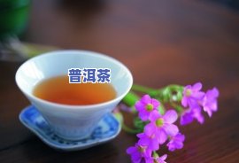 自制水果普洱茶做法大全图解：详细步骤、视频与解说，一应俱全！