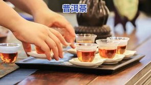 江西批发云南普洱茶的市场在哪里？全网搜罗详细信息！