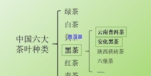 熟普洱茶制作工艺流程图：详细步骤解析与图片展示