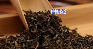 江西批发云南普洱茶的地方在哪里？全网搜索江西茶叶场