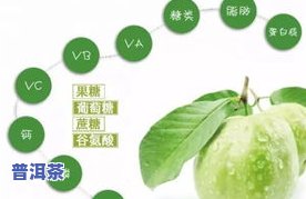 芭乐叶茶：功效、作用及禁忌全解析