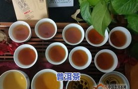 冰岛方砖普洱茶200年-冰岛方砖是什么茶