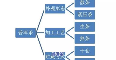 深入了解普洱茶制茶工艺：流程、图解与视频全览