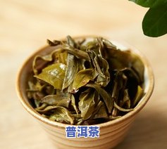 冰岛普洱茶什么时候有的-冰岛普洱茶什么时候有的卖