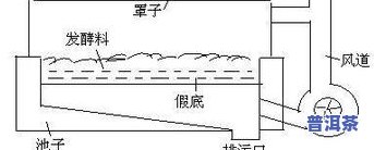 普洱茶固态发酵基质的pH值范围及其影响因素解析