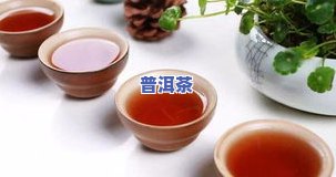 普洱茶都有什么香型？了解常见香型及特点