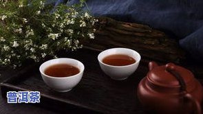 探索普洱茶的茶香世界：五大类别与类型全解析