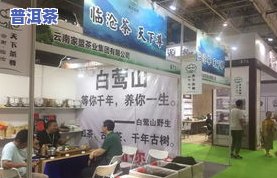 梅村茶叶：王世平简历、茶叶店、合作社与节庆活动全览