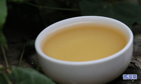 梅香普洱茶：探索普洱生茶的特别梅子香气