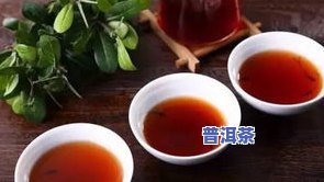 梅香普洱茶：探索普洱生茶的特别梅子香气