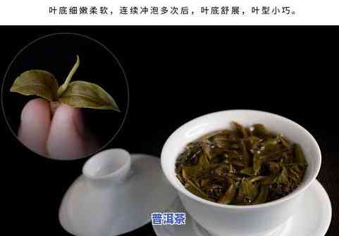 古树纯料普洱茶价值-古树纯料普洱茶价值多少