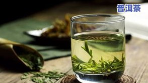 冰岛普洱茶是绿茶吗？探究其类别归属