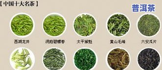 冰岛普洱茶是绿茶吗？探究其类别归属