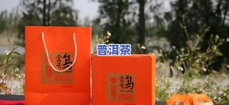 大红柑普洱茶包装纸盒图片-大红柑普洱茶包装纸盒图片大全