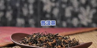 普洱茶提取物的作用：揭示其功效与作用机制