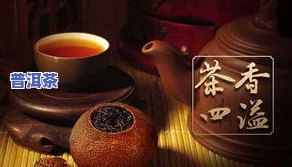 陈皮普洱茶多少钱一罐？价格、口感全知道！