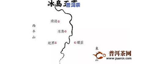 冰岛地界单株普洱茶价格-冰岛地界普洱茶特点