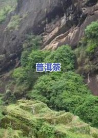 探秘双柏材：产地、风光与功效全揭秘