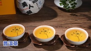 普洱茶冰种的含义及其价格：冰种普洱多少钱？怎样冲泡冰普洱茶，包含冰种普洱茶叶与冰普洱茶的区别