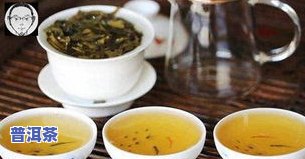 为什么普洱茶有点苦？探究其来源与口感特点